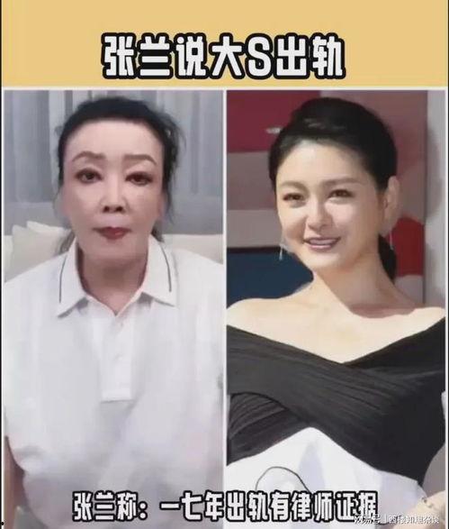 张兰最新爆料大s证据,真相大白,豪门恩怨再掀波澜 第3张 张兰最新爆料大s证据,真相大白,豪门恩怨再掀波澜 第3张