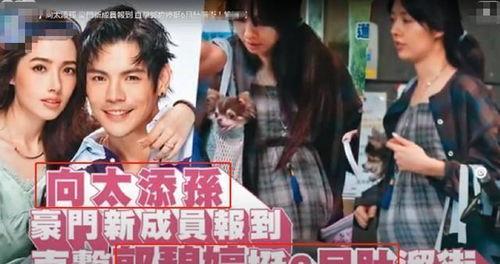 幸福媳妇爆料视频播放全集,揭秘视频全集精彩瞬间  第1张